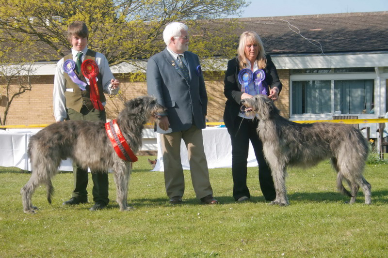 BIS & RBIS Breed Show 2010