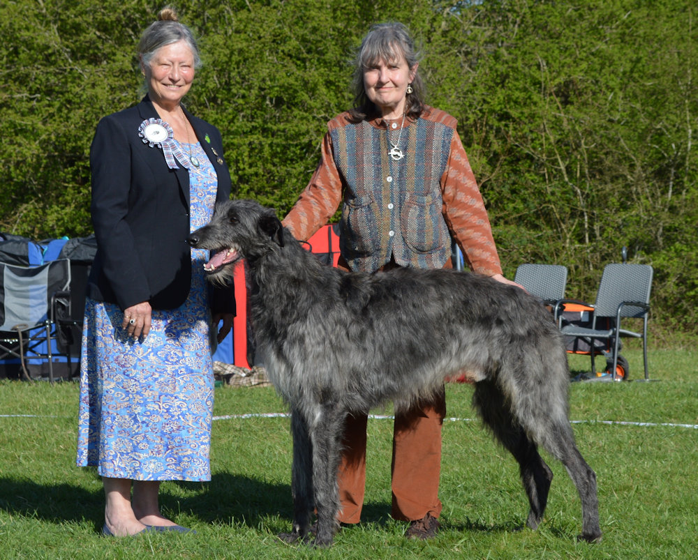 Reserve Best Dog