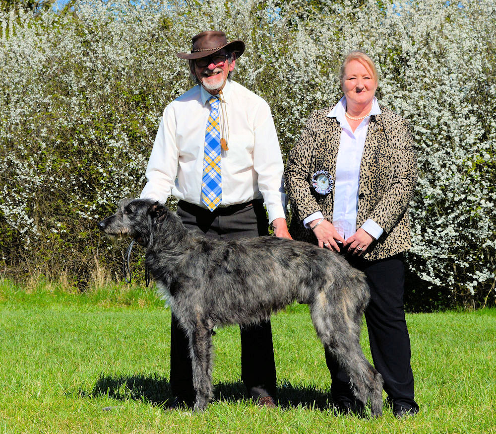 Dog RCC