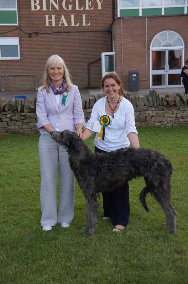 Best Puppy & Best puppy Bitch Houndshow 2013