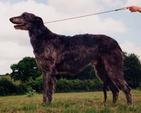  CH.KILBOURNE LUFFA OF OELMUEHLE