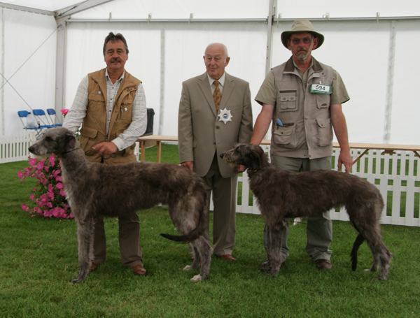 Best Puppies Leeds 2011