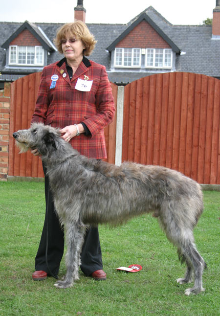 Kilbourne Comanche at Lordswell