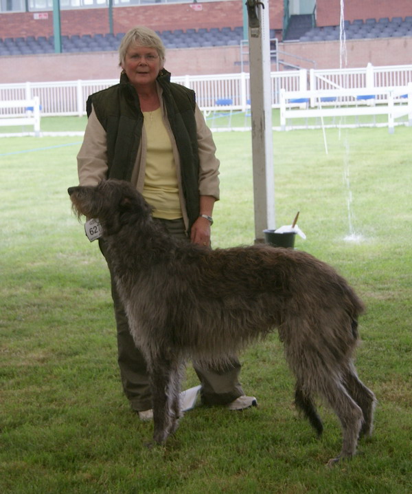 Regalflight Princequillo at Penherald