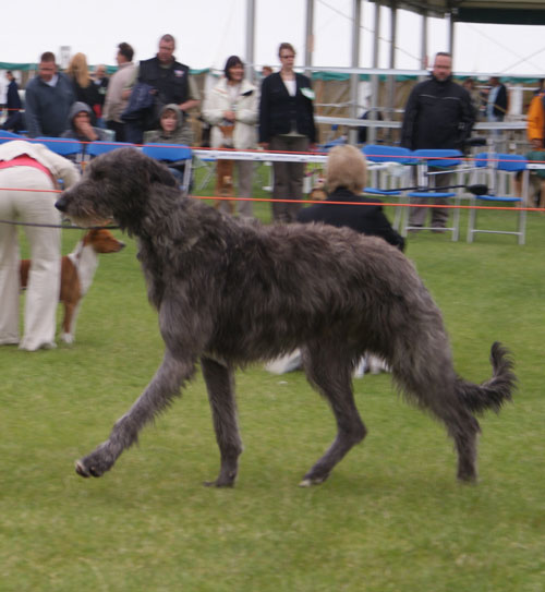 Romanie Rye at Greyhawks 