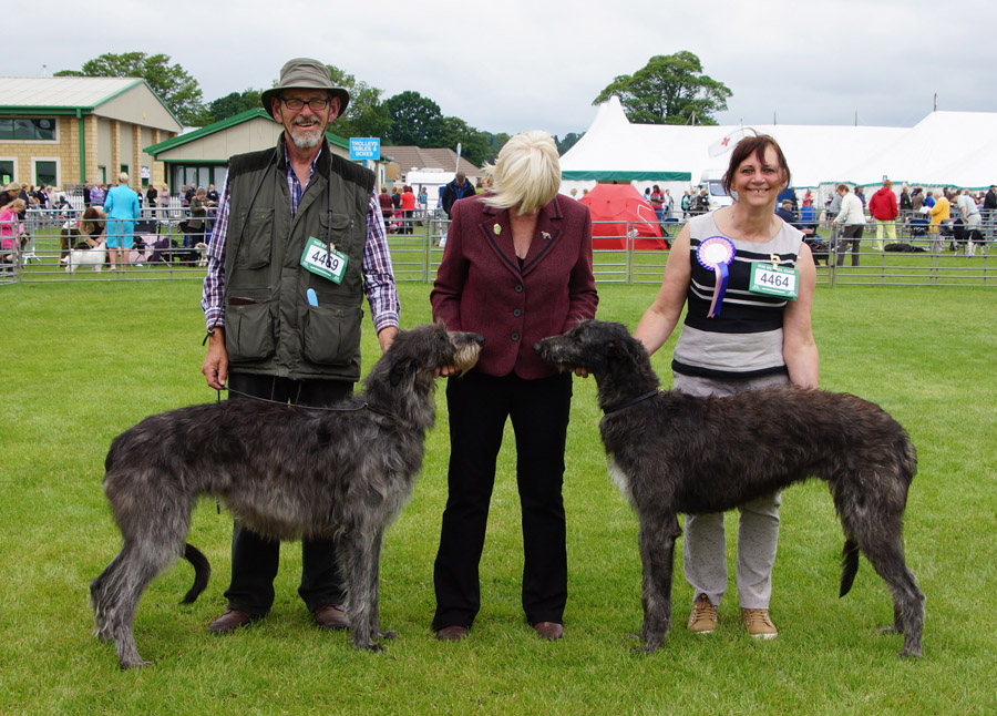 Border Union Dog Show Results Border Union Dog Show Results