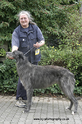 Claonaiglen Albyn at Cloweswood