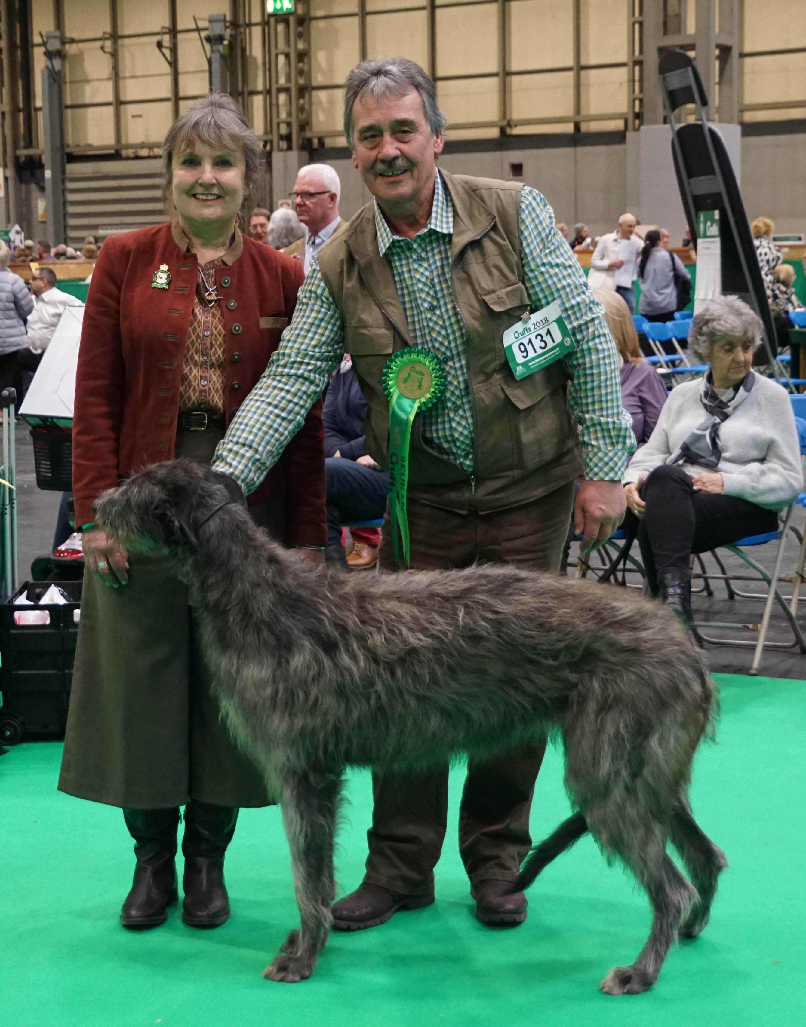 Best Puppu Crufts 2017