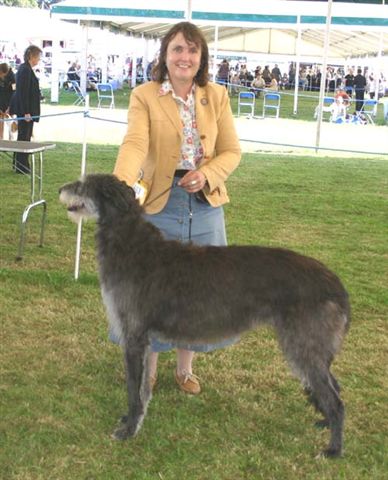 Beardswood Katrine