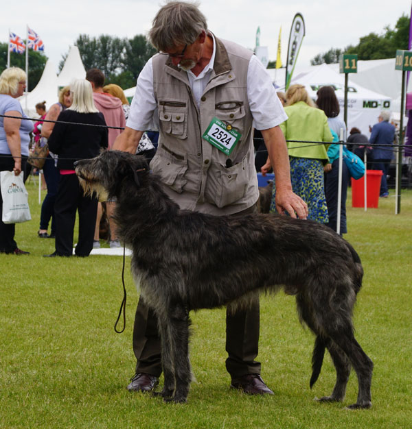 Windsor Championship Dog Show Results Windsor Championship Dog Show Results