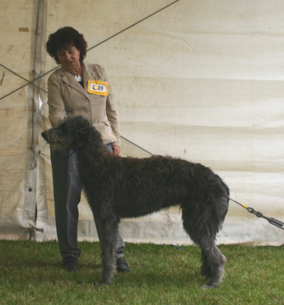 Claonaiglen Bruar